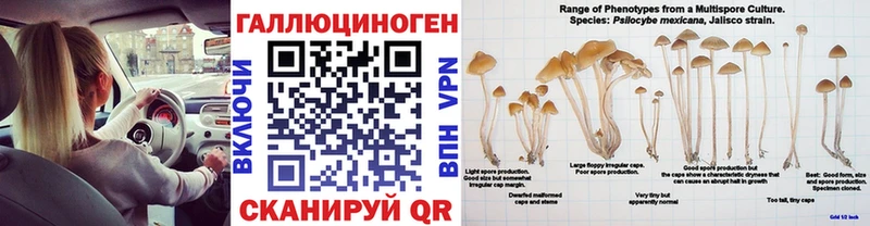 гидра зеркало  Нальчик  Галлюциногенные грибы Psilocybine cubensis 